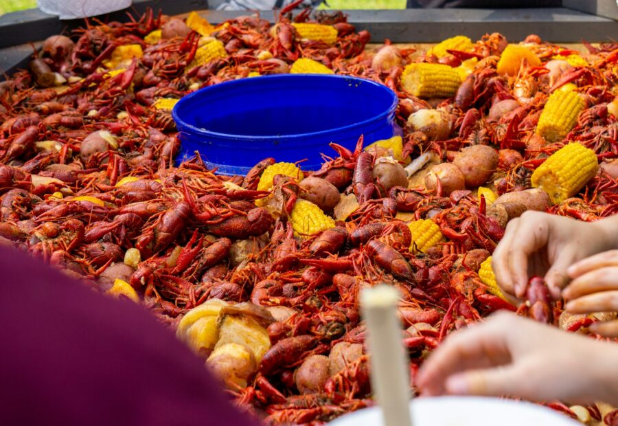 M&A advisor Louisiana